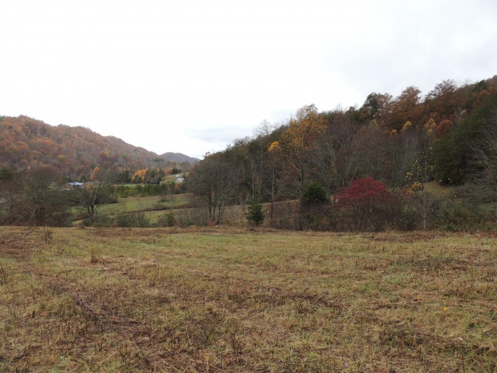 531 Frost Road Surgoinsville, TN 37873 - Photo 6 of 15 Photo 6