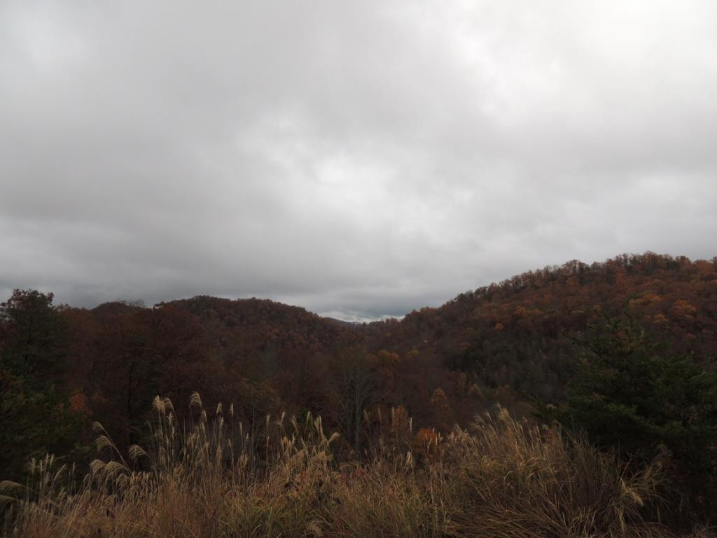 531 Frost Road Surgoinsville, TN 37873 - Photo 8 of 15 Photo 8