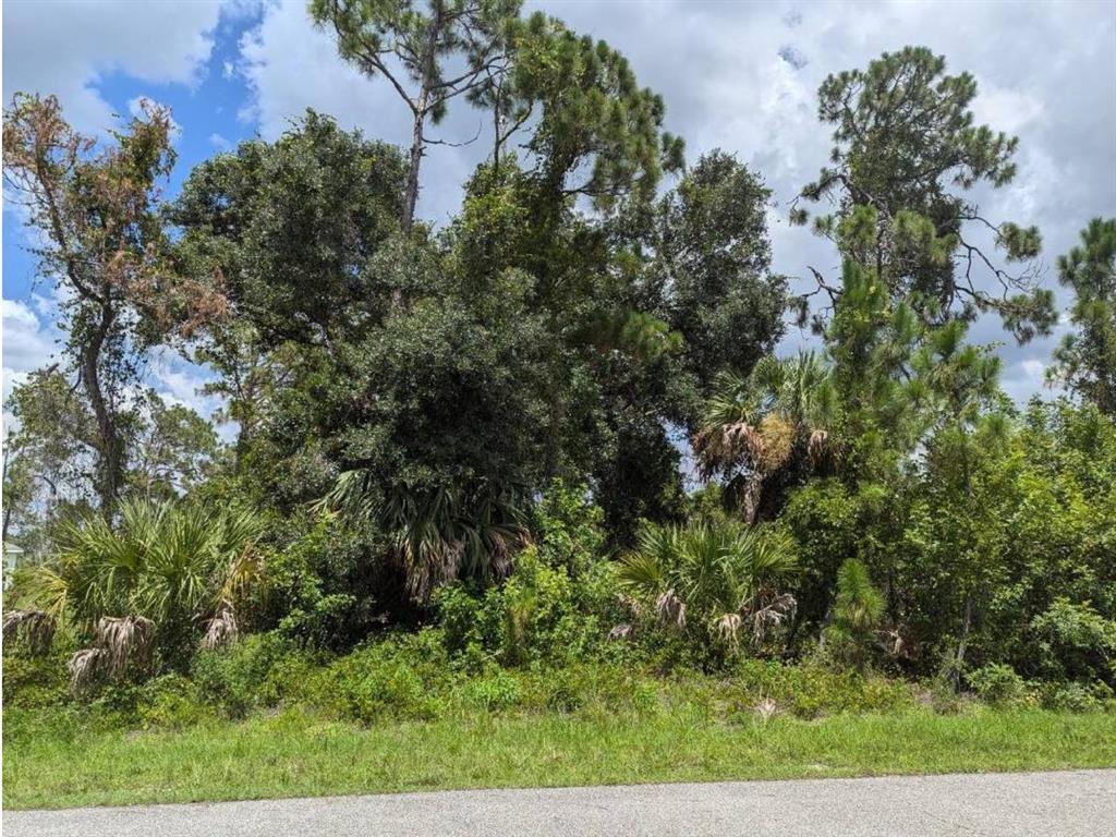Gauguin Rd Port North Port, FL 34288 - Photo 1 of 1 Gallery Image 1