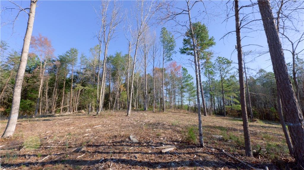 1 Carson Road Cleveland, NC 27013 - Photo 12 of 28 Gallery Image 12