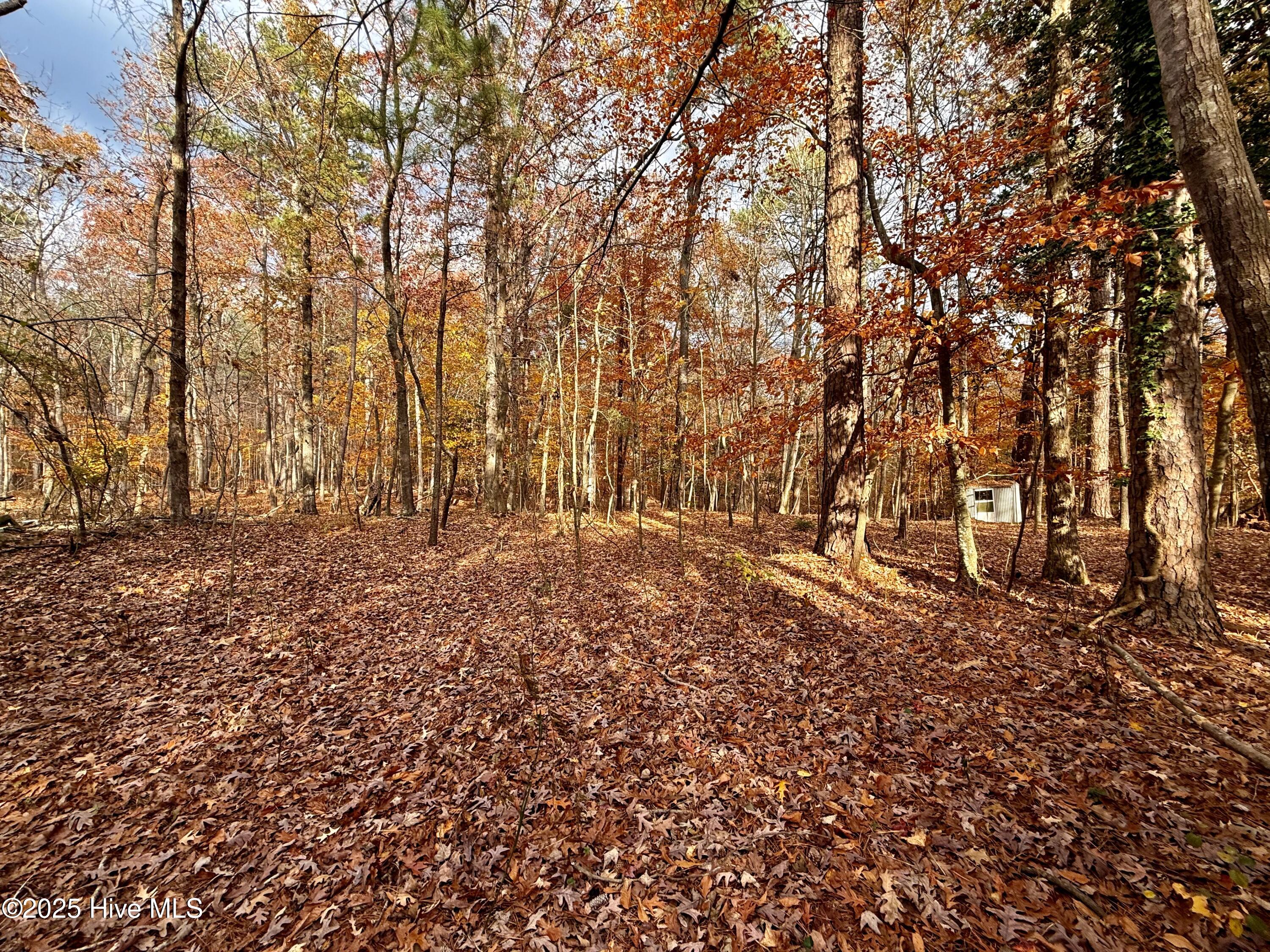 0 Williams Road Williamston, NC 27892 - Photo 14 of 16 Some Clearing