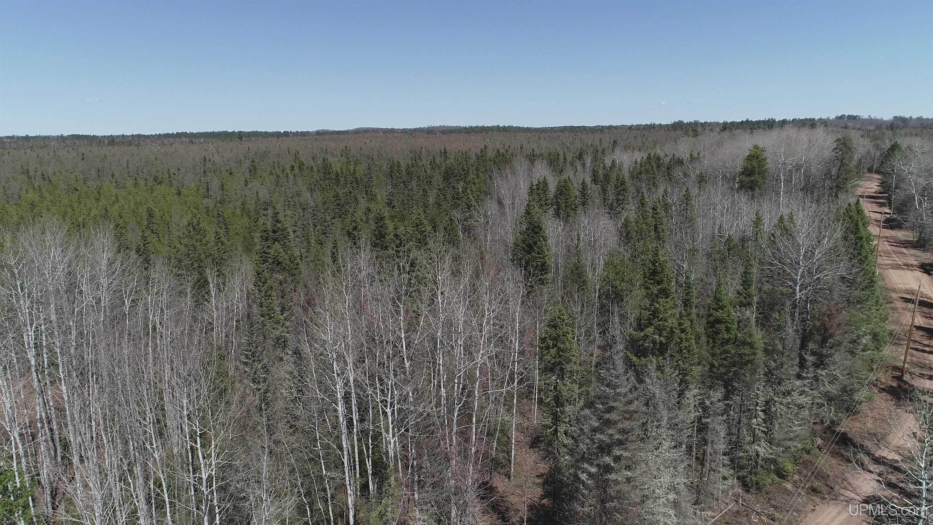 252-acres 252-acres Helen Lake Road Ishpeming, MI 49849 - Photo 2 of 11