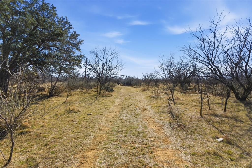 2 Fm 880 Moran, TX 76464 - Photo 2 of 20 a view of yard with trees