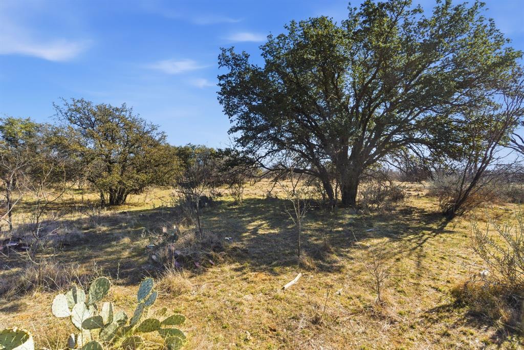 2 Fm 880 Moran, TX 76464 - Photo 3 of 20 a view of a yard with large trees