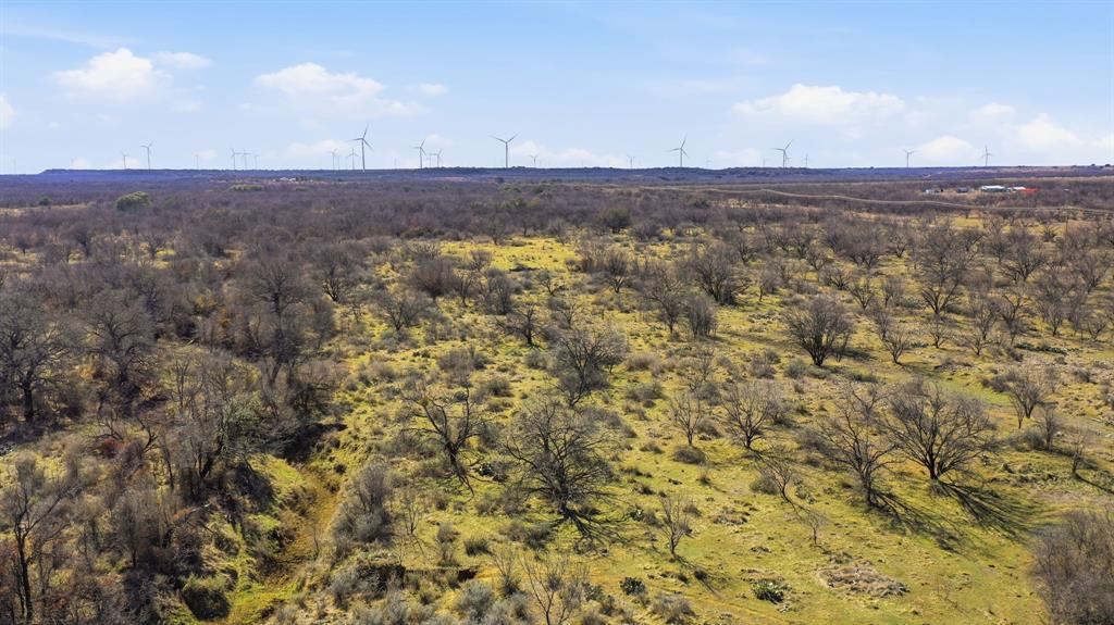 2 Fm 880 Moran, TX 76464 - Photo 4 of 20