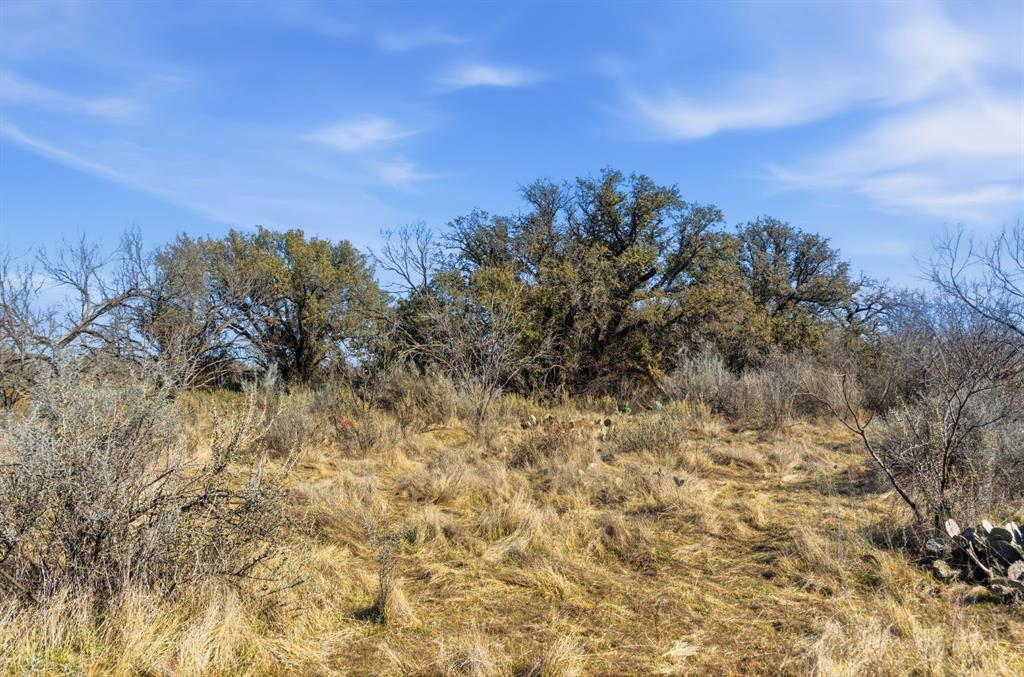 2 Fm 880 Moran, TX 76464 - Photo 7 of 20 a view of a yard