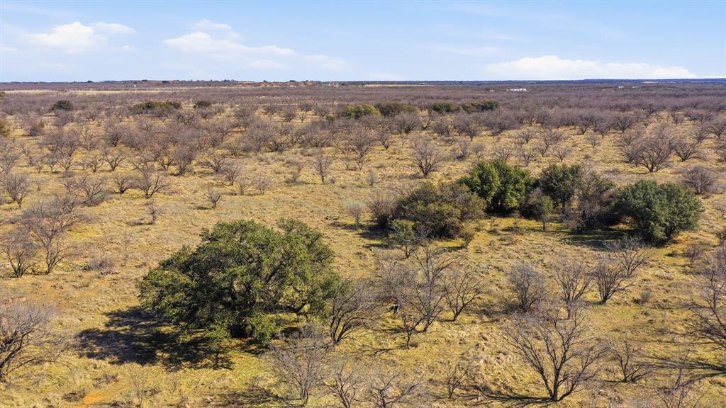 2 Fm 880 Moran, TX 76464 - Photo 8 of 20 a view of city and mountain