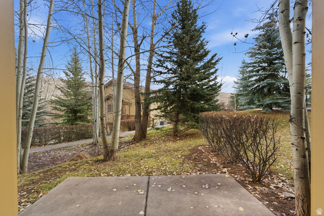 3026 Lower Saddleback Road Park City, UT 84098 - Photo 54 of 71 View of yard