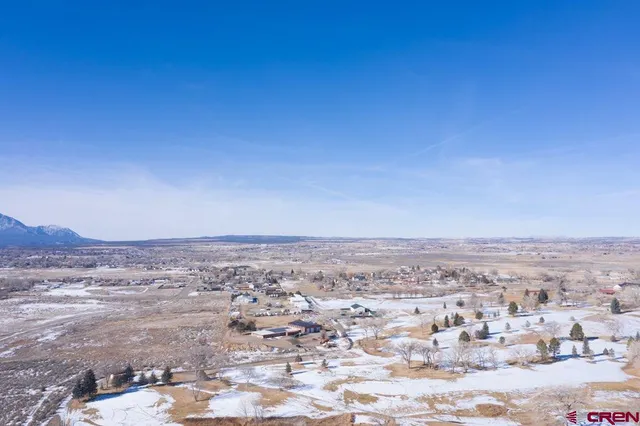 an aerial view of ocean and trees