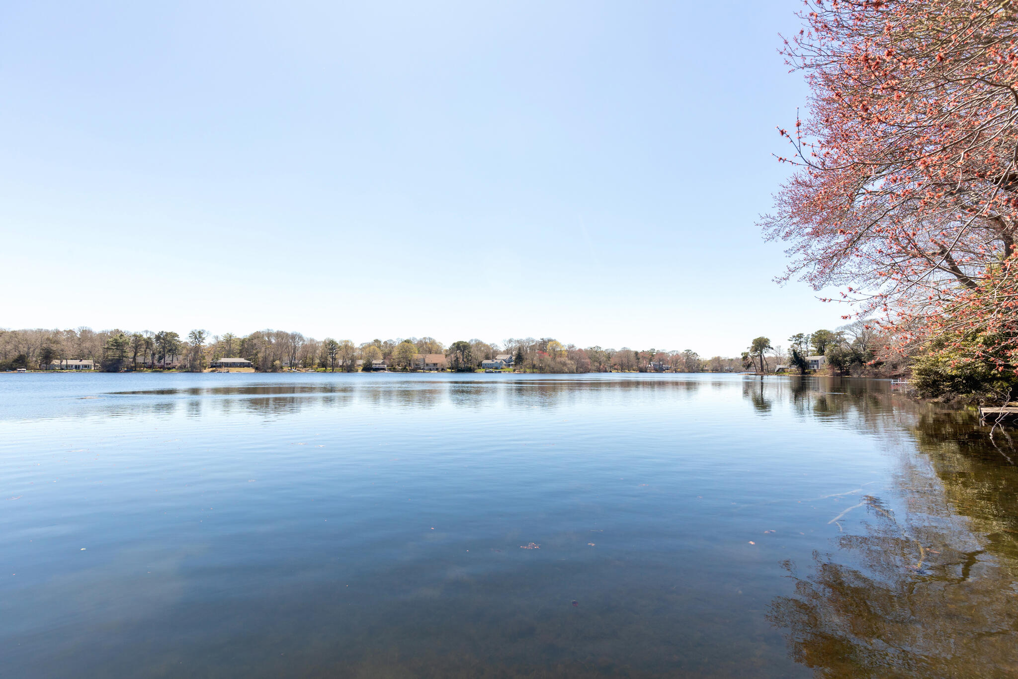 6 Scottsdale Road Centerville, MA 02632 - Photo 51 of 69 6 Scottsdale