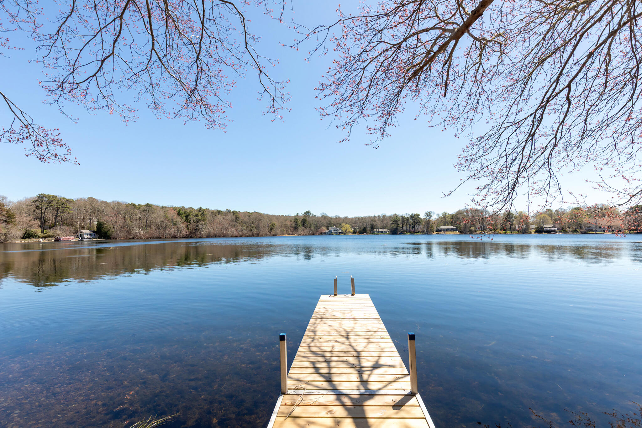 6 Scottsdale Road Centerville, MA 02632 - Photo 52 of 69 6 Scottsdale