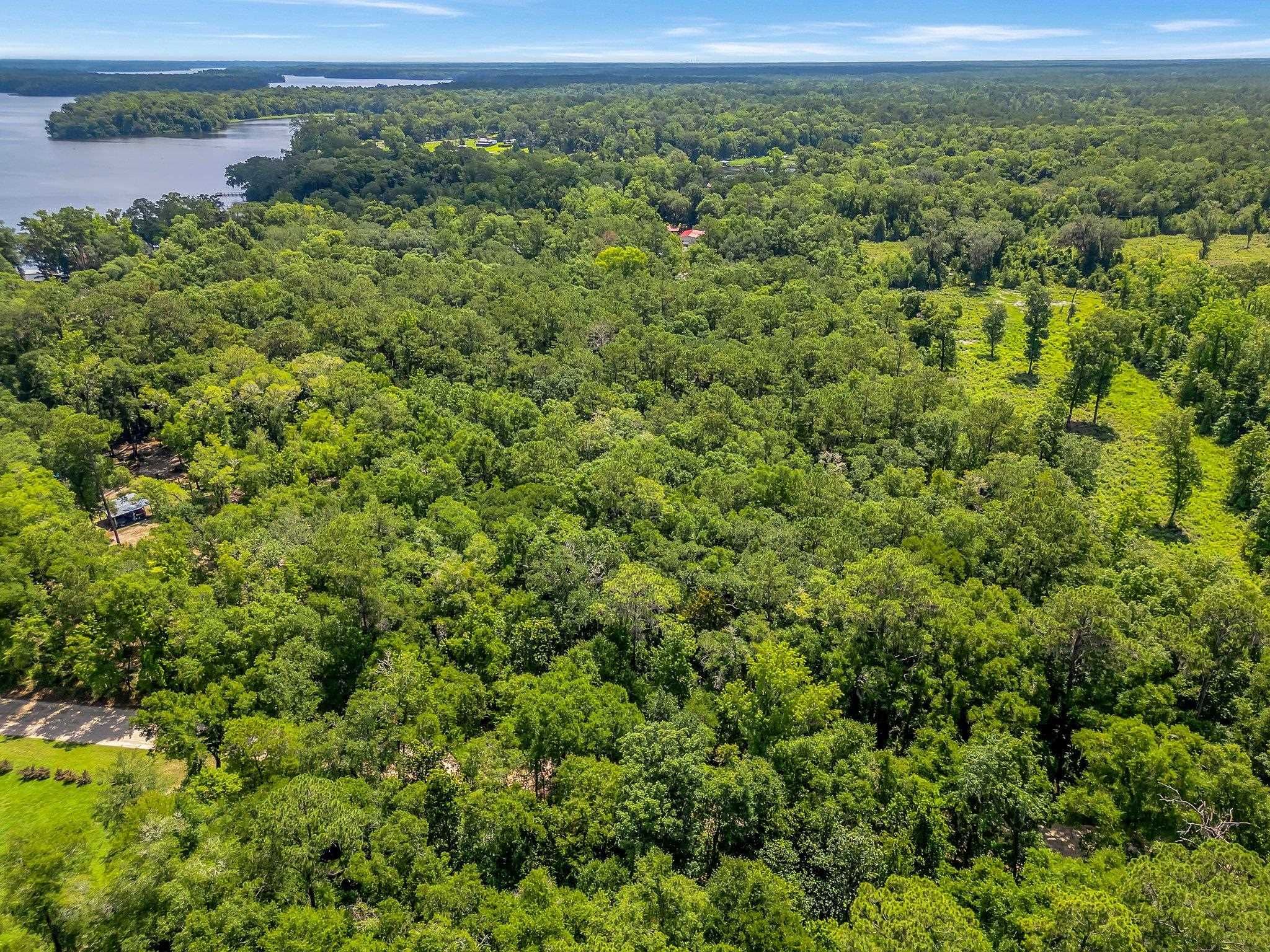 Xx Parramore Shores Road Tallahassee, FL 32310 - Photo 2 of 7