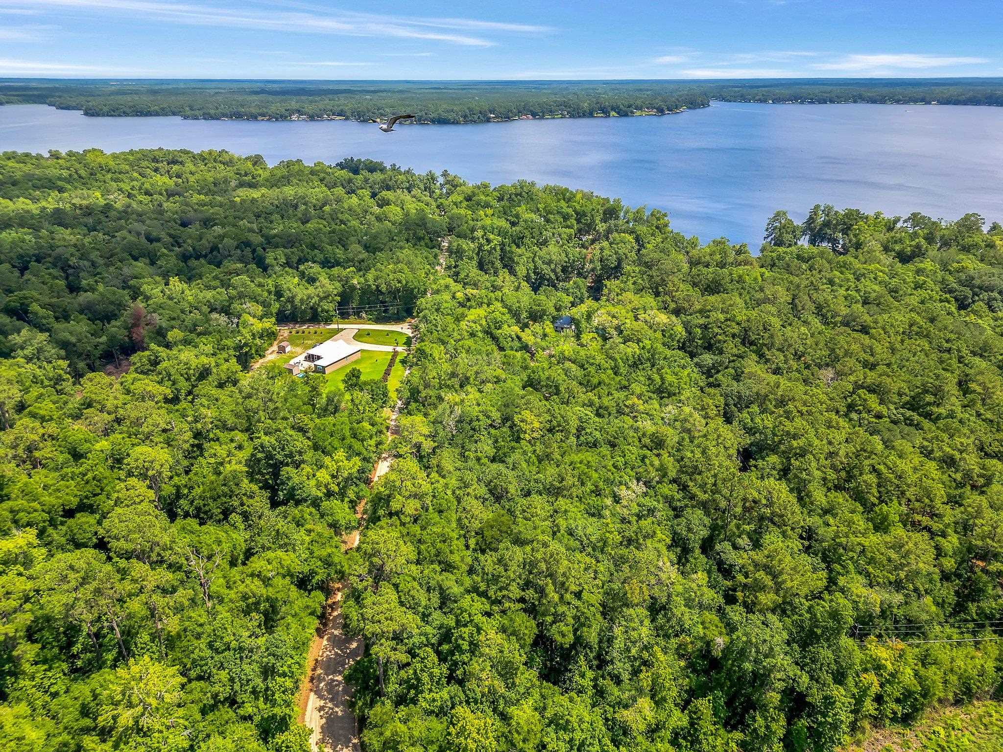 Xx Parramore Shores Road Tallahassee, FL 32310 - Photo 6 of 7