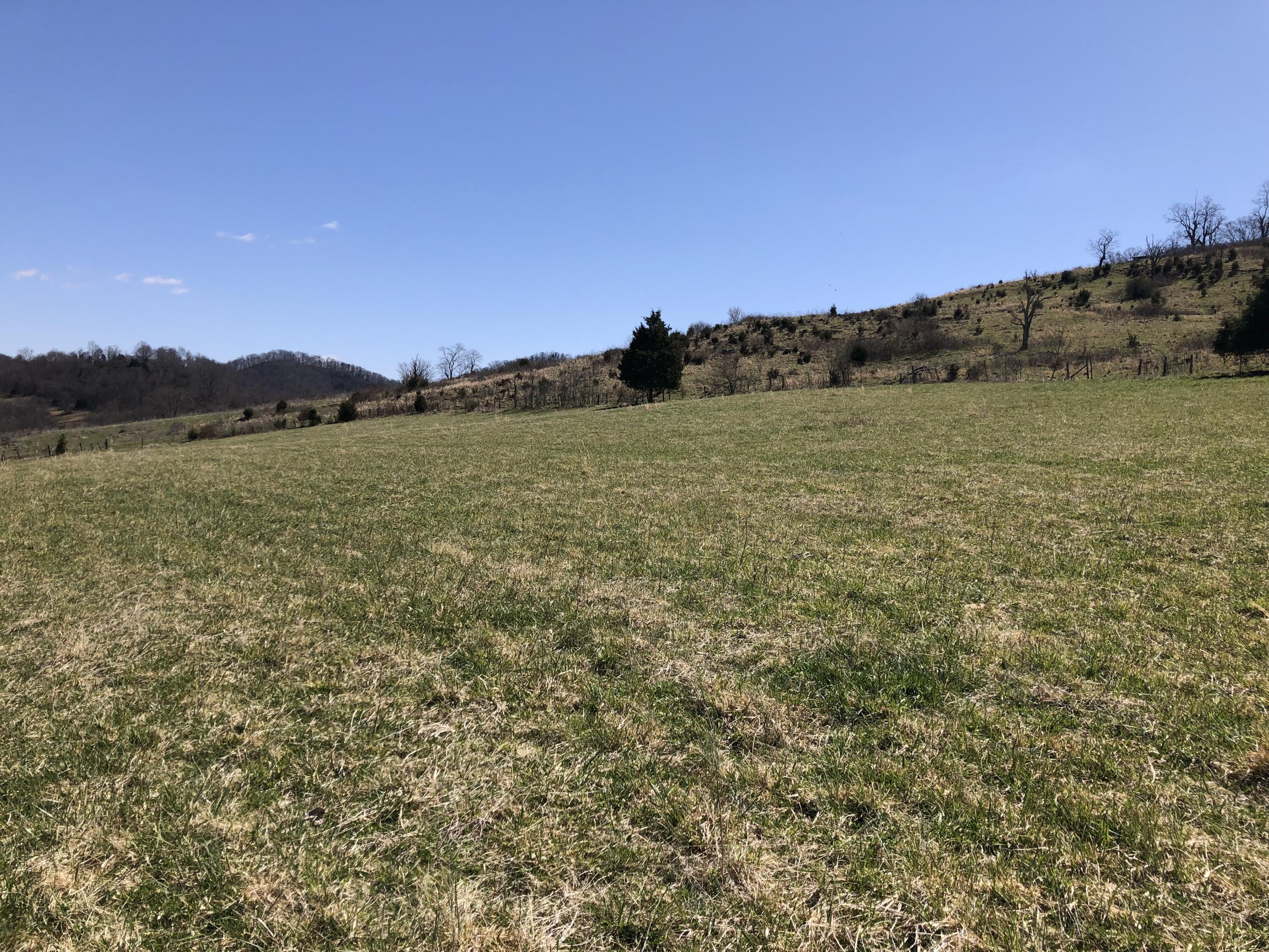 Tbd Farming Acres Road Duffield, VA 24244 - Photo 12 of 38 Photo Mar 27, 12 48 28 PM