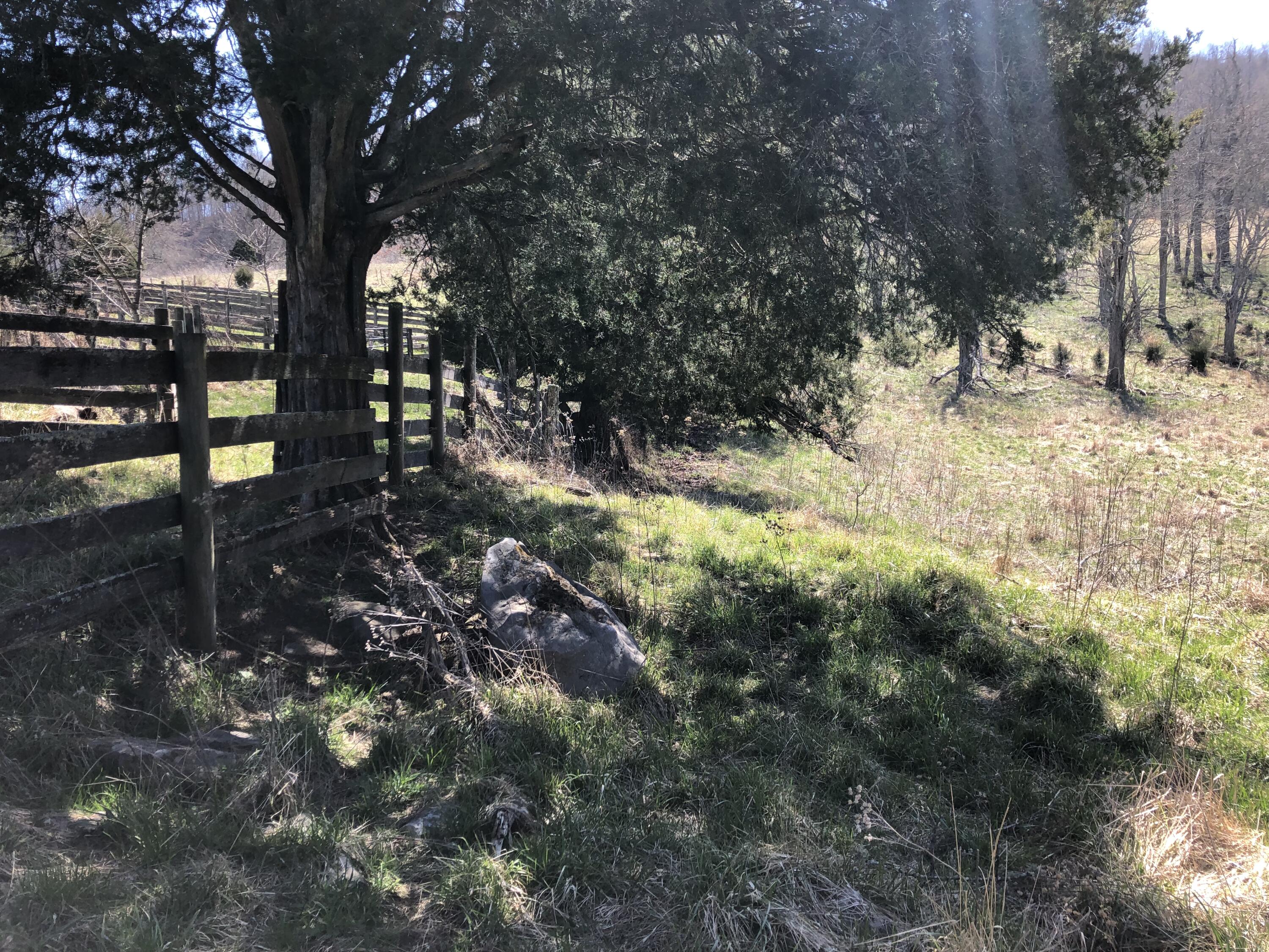 Tbd Farming Acres Road Duffield, VA 24244 - Photo 14 of 38 Photo Mar 27, 1 32 05 PM