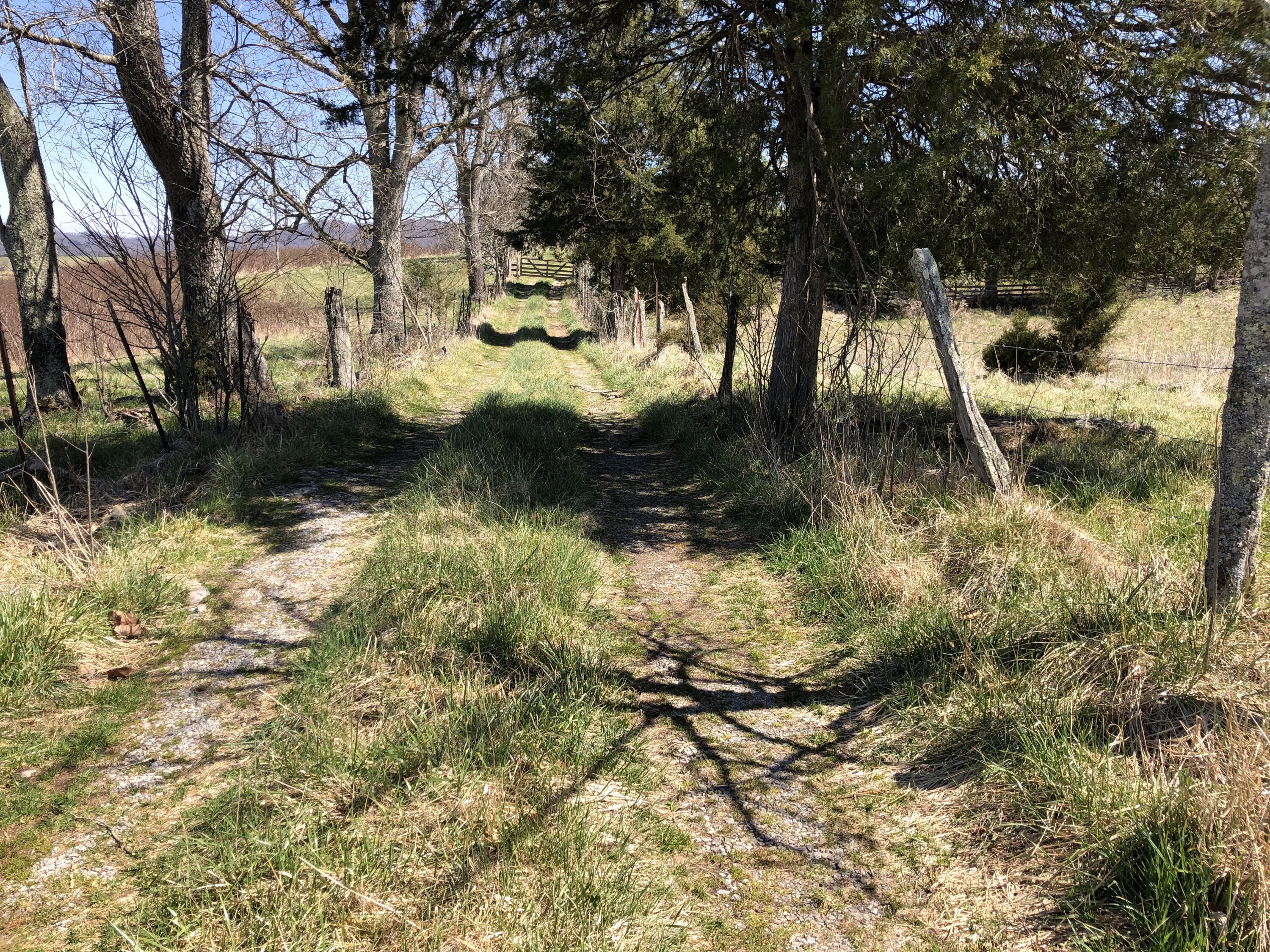Tbd Farming Acres Road Duffield, VA 24244 - Photo 16 of 38 Photo Mar 27, 1 38 18 PM