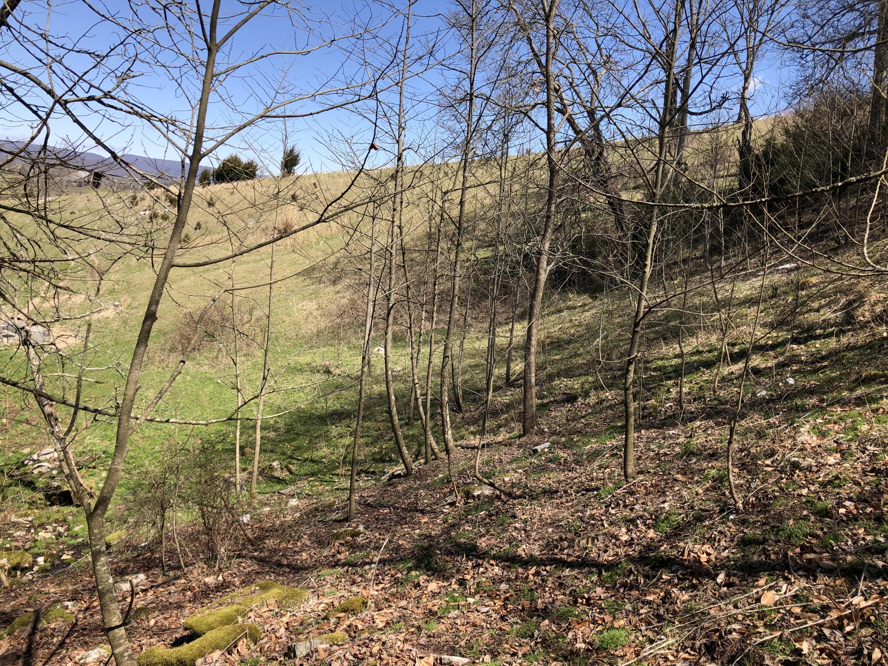 Tbd Farming Acres Road Duffield, VA 24244 - Photo 17 of 38 Photo Mar 27, 12 57 51 PM