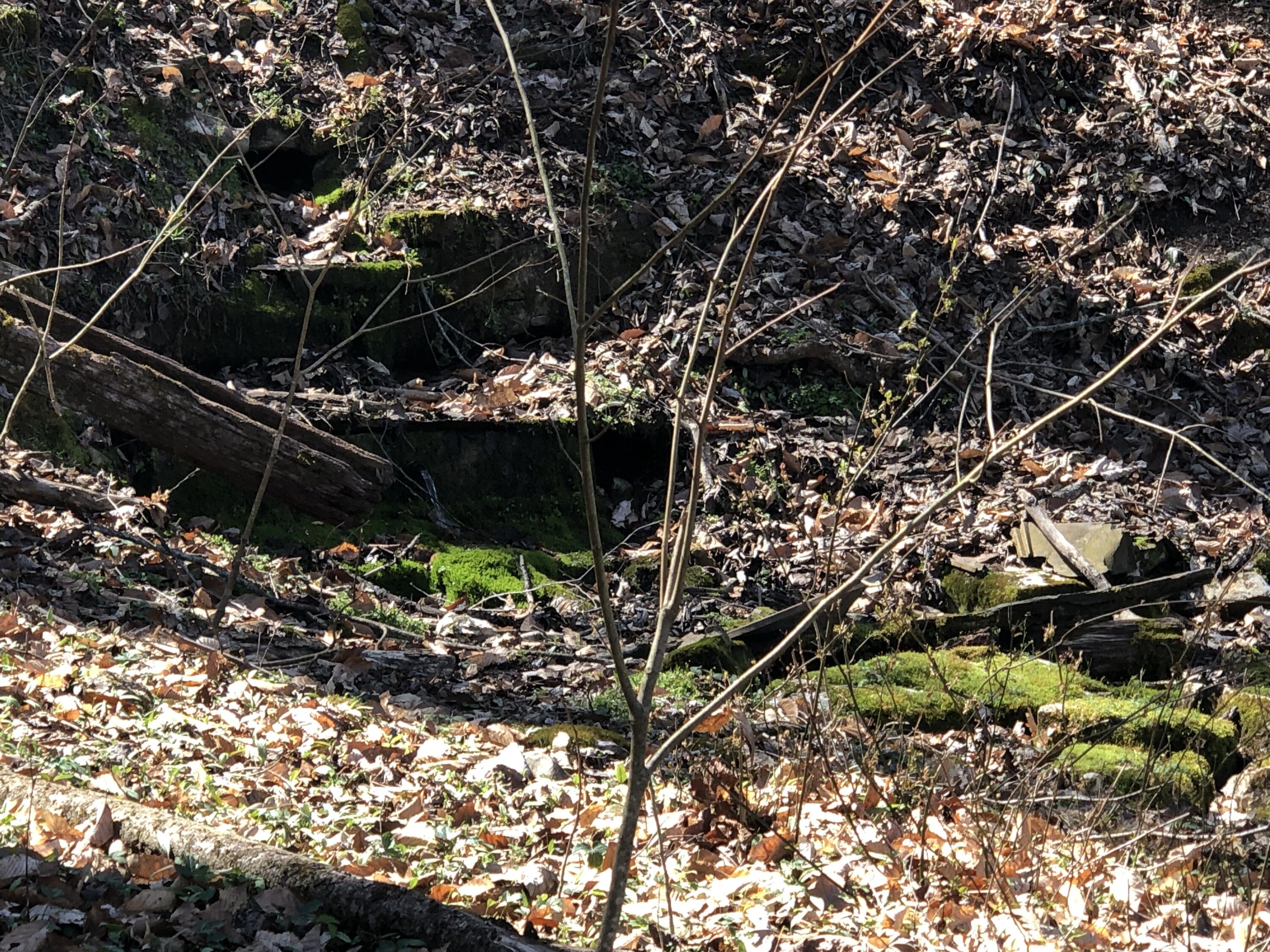 Tbd Farming Acres Road Duffield, VA 24244 - Photo 18 of 38 Photo Mar 27, 12 57 21 PM (1)