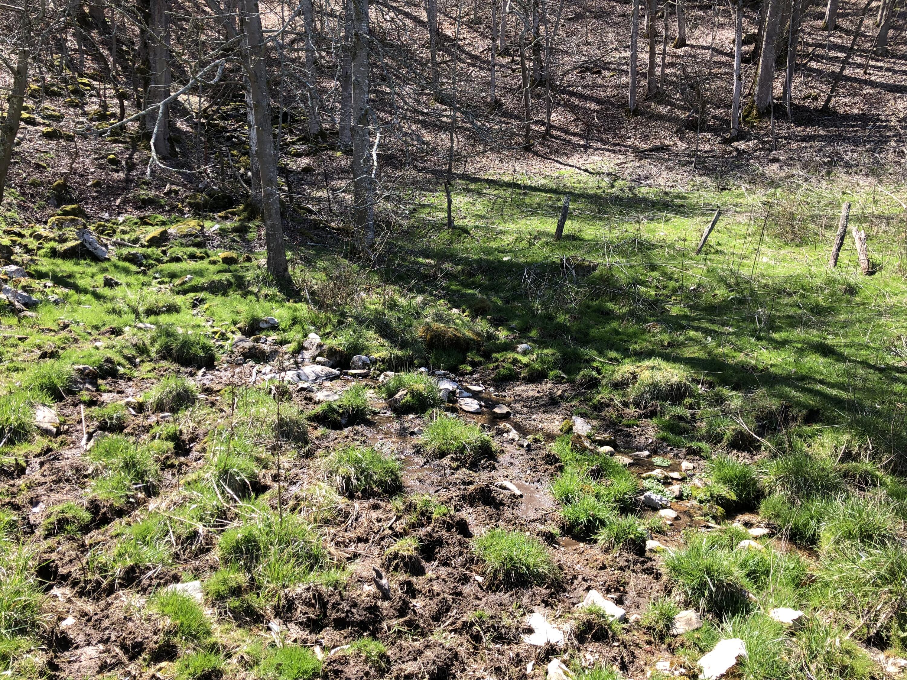 Tbd Farming Acres Road Duffield, VA 24244 - Photo 21 of 38 Photo Mar 27, 12 54 29 PM
