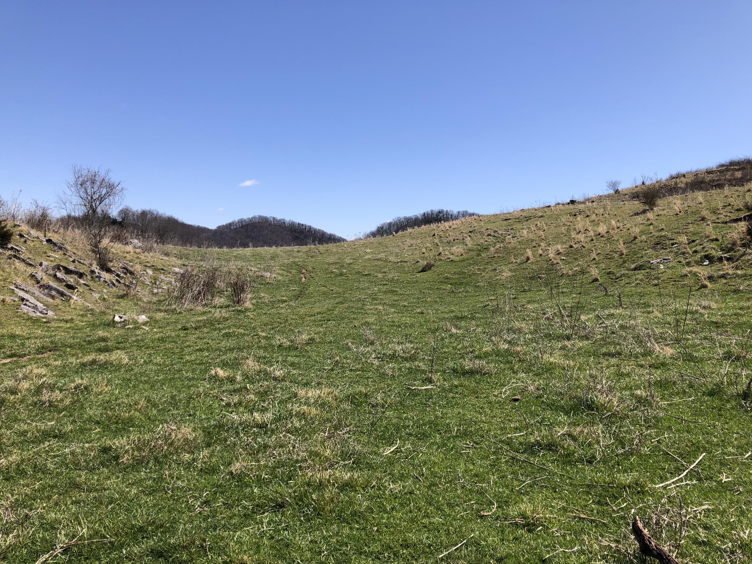 Tbd Farming Acres Road Duffield, VA 24244 - Photo 23 of 38 Photo Mar 27, 1 11 40 PM