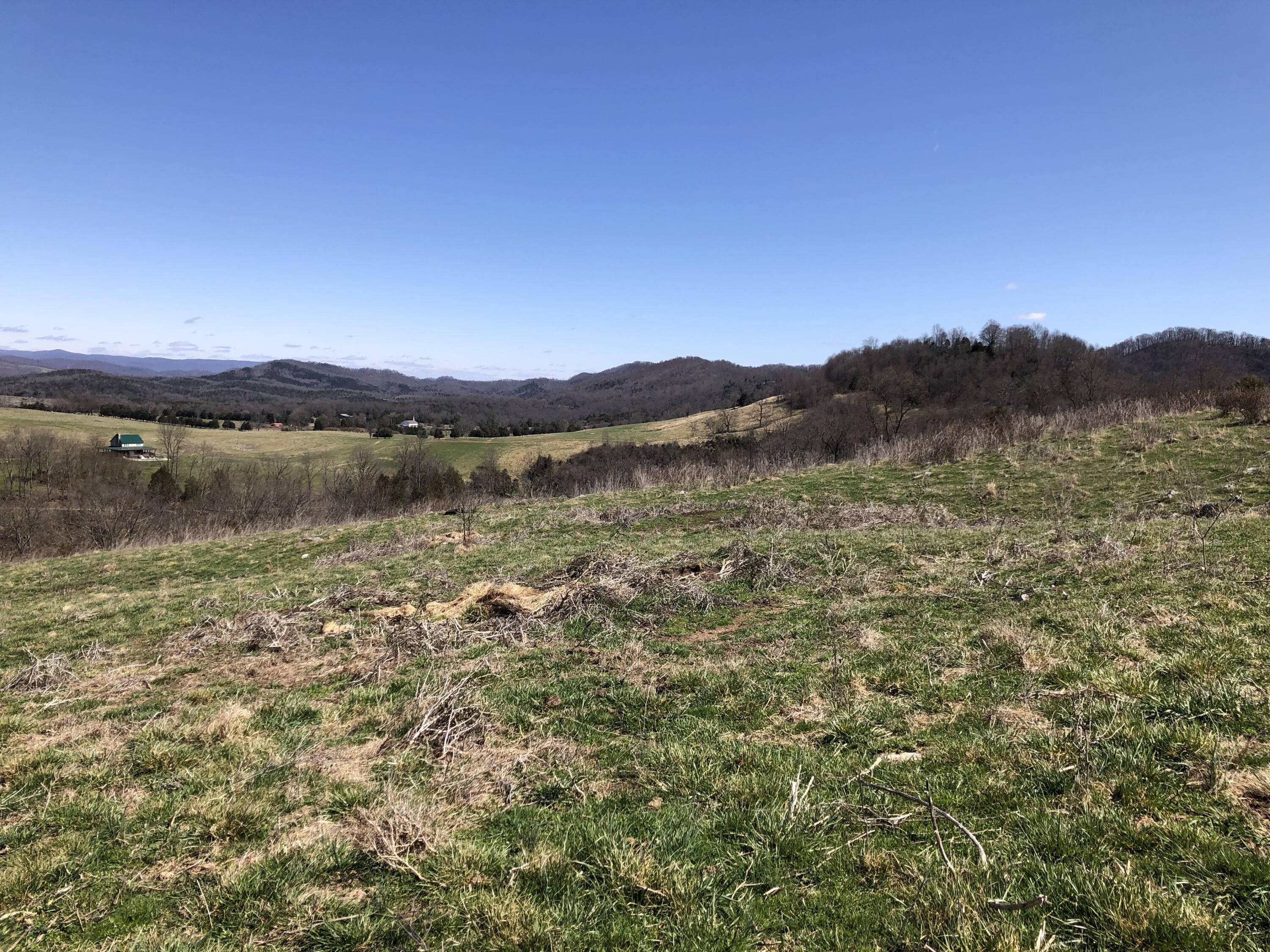 Tbd Farming Acres Road Duffield, VA 24244 - Photo 27 of 38 Photo Mar 27, 1 09 47 PM (1)