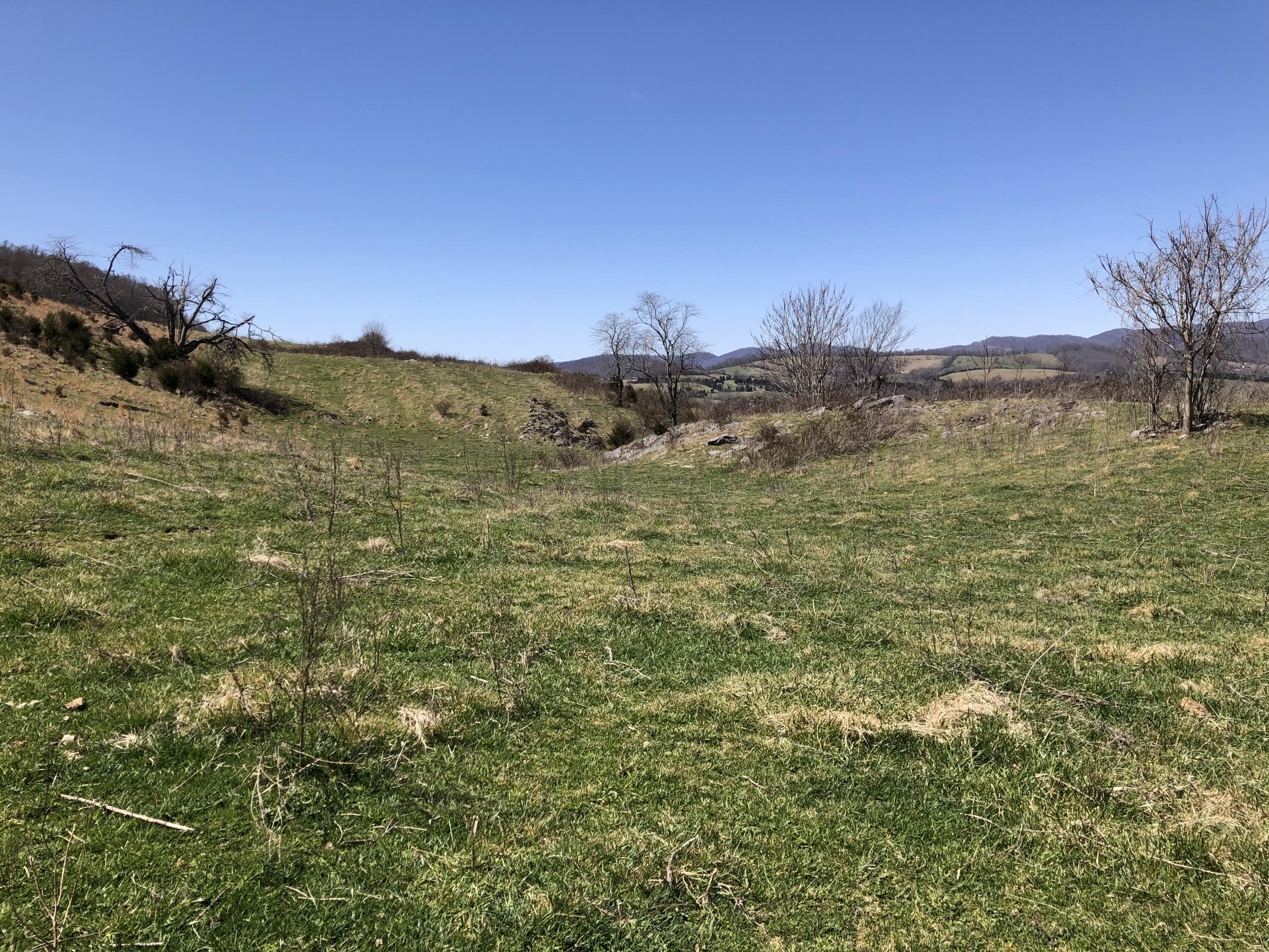 Tbd Farming Acres Road Duffield, VA 24244 - Photo 28 of 38 Photo Mar 27, 1 13 50 PM
