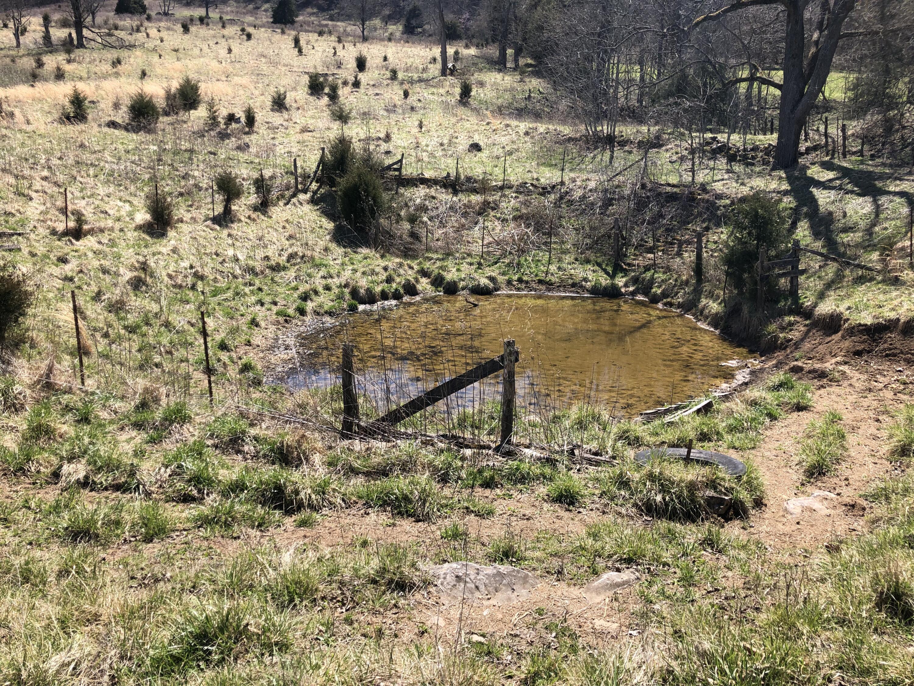 Tbd Farming Acres Road Duffield, VA 24244 - Photo 30 of 38 Photo Mar 27, 1 36 13 PM