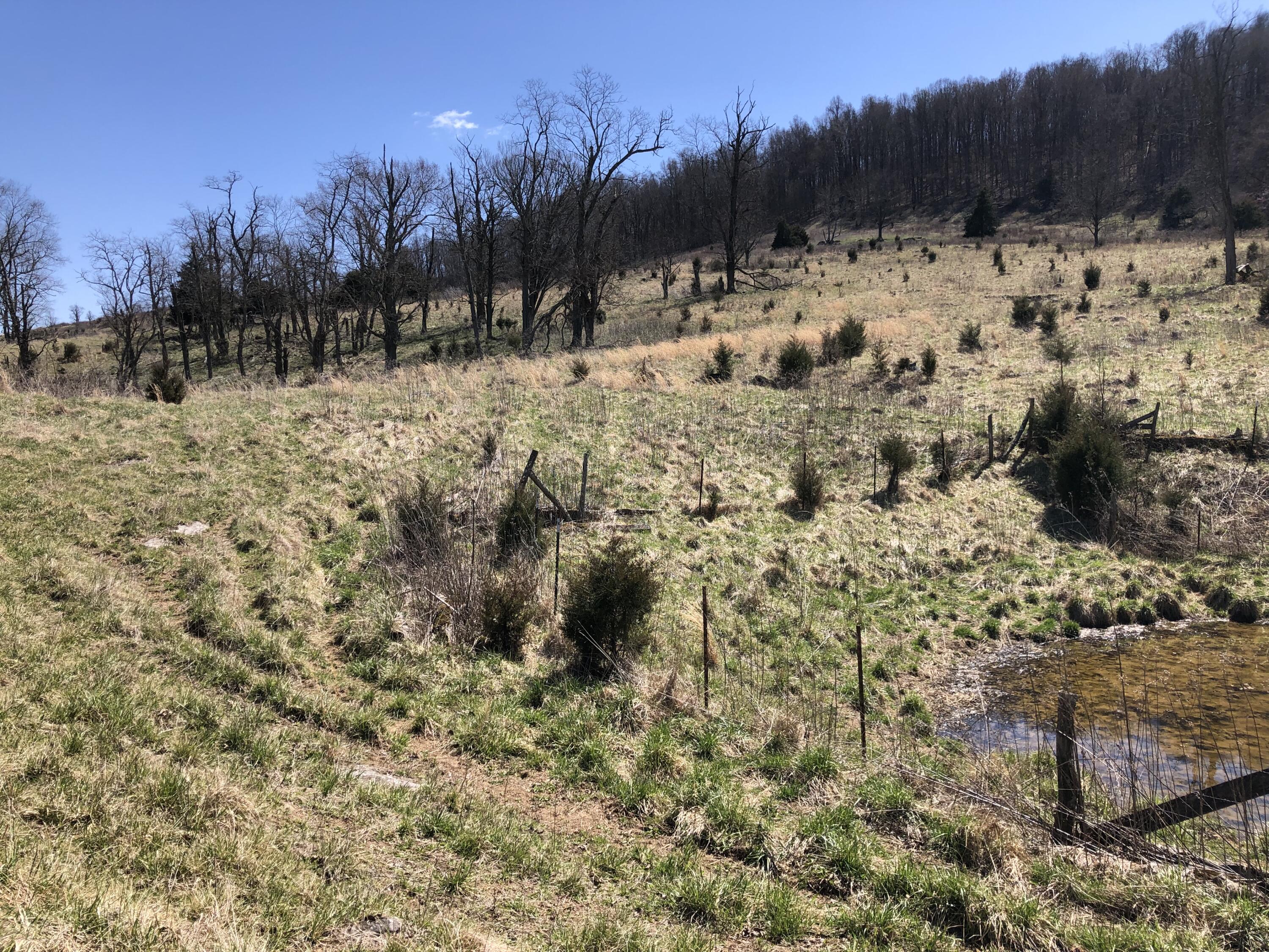 Tbd Farming Acres Road Duffield, VA 24244 - Photo 31 of 38 Photo Mar 27, 1 36 22 PM
