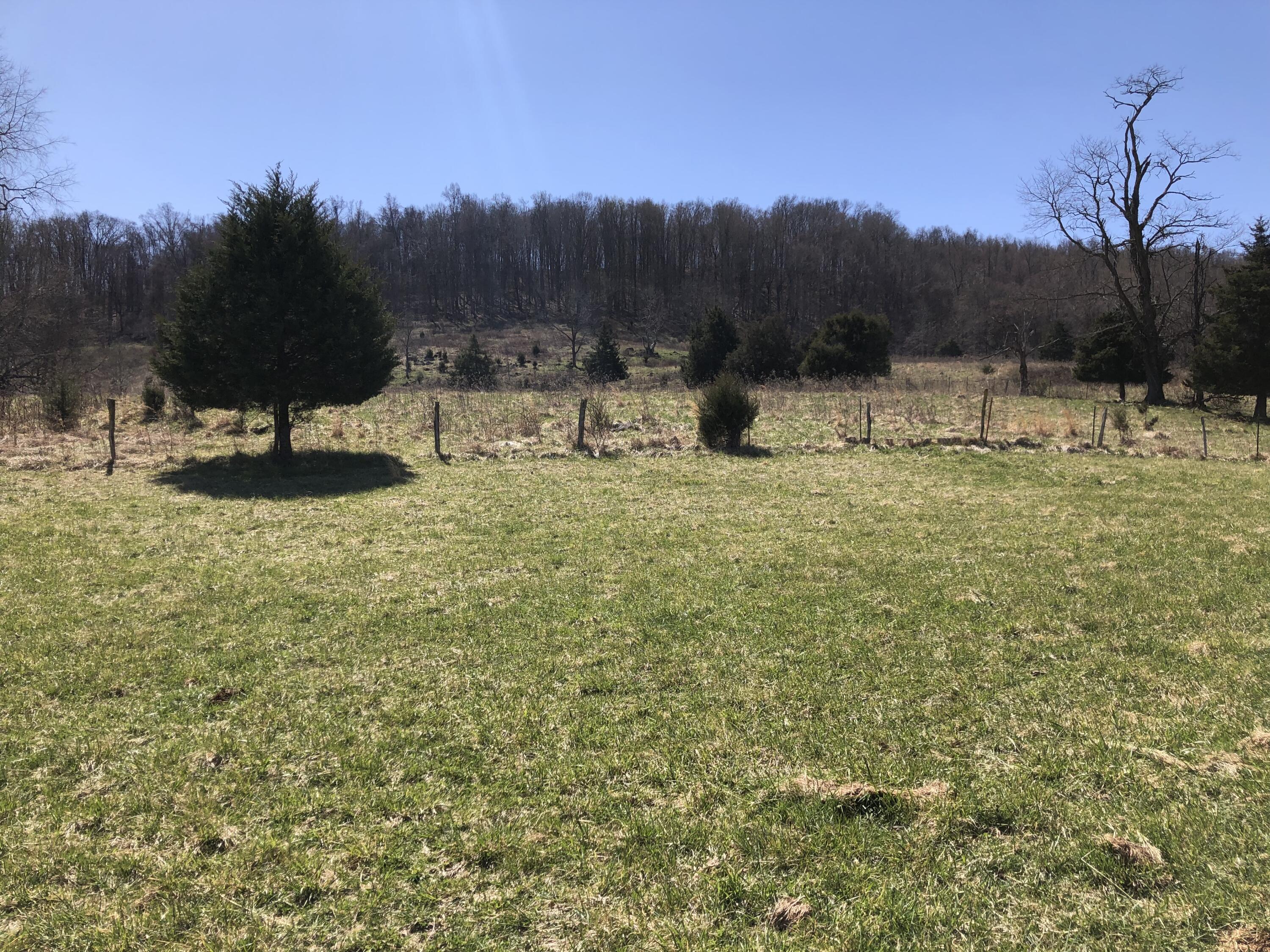 Tbd Farming Acres Road Duffield, VA 24244 - Photo 34 of 38 Photo Mar 27, 12 39 18 PM