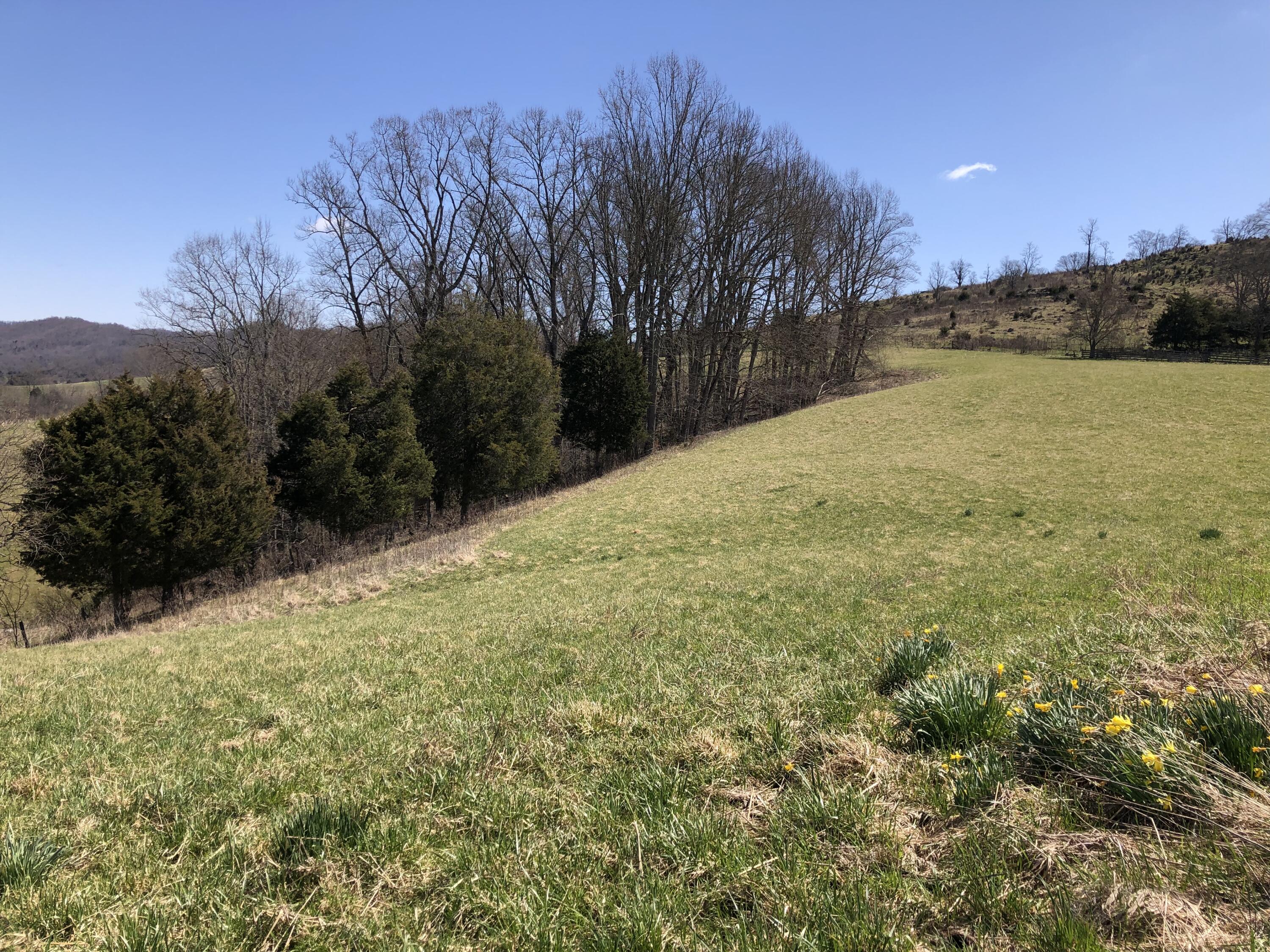 Tbd Farming Acres Road Duffield, VA 24244 - Photo 37 of 38 Photo Mar 27, 12 44 26 PM