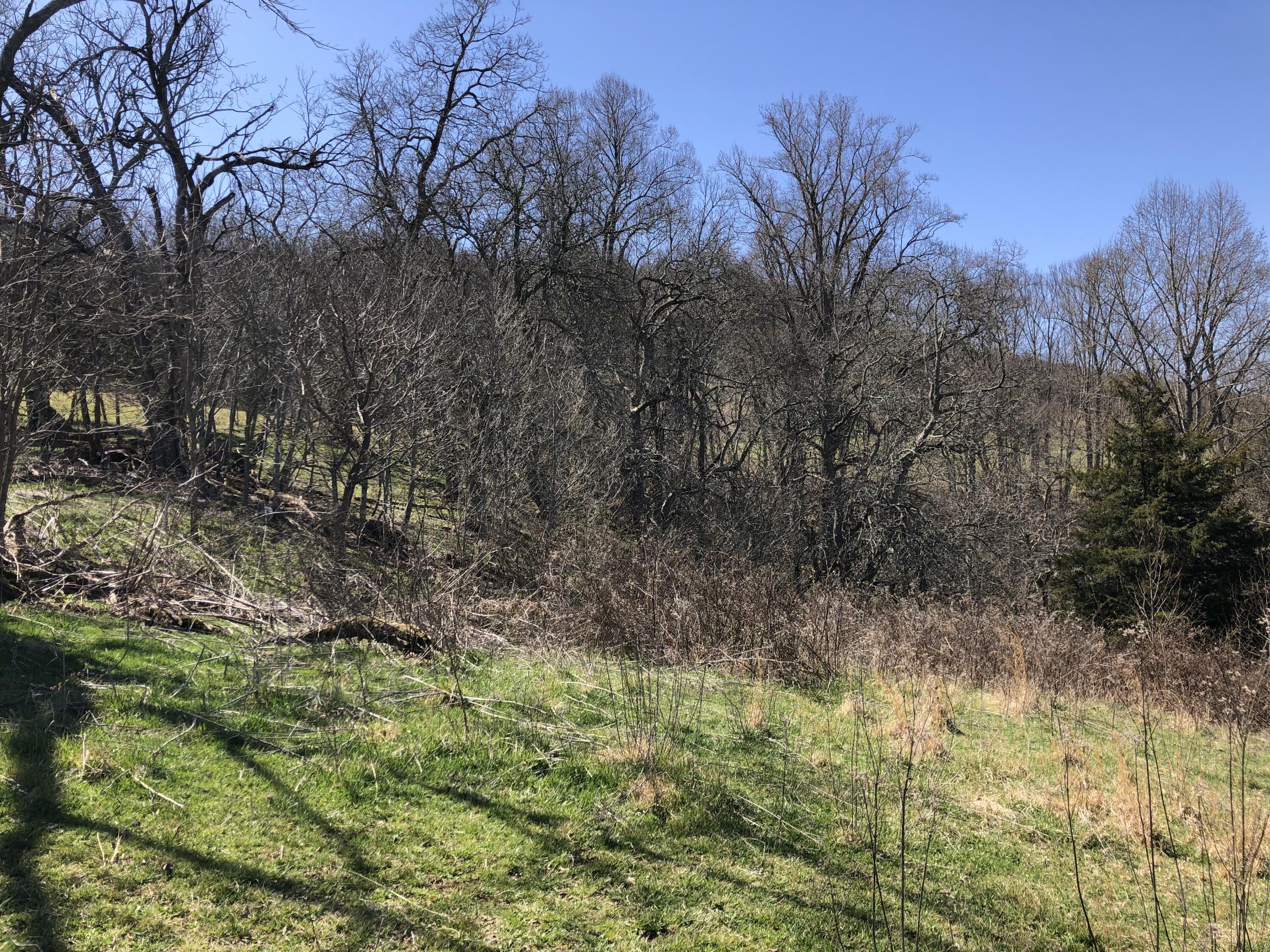 Tbd Farming Acres Road Duffield, VA 24244 - Photo 38 of 38 Photo Mar 27, 12 50 21 PM (1)