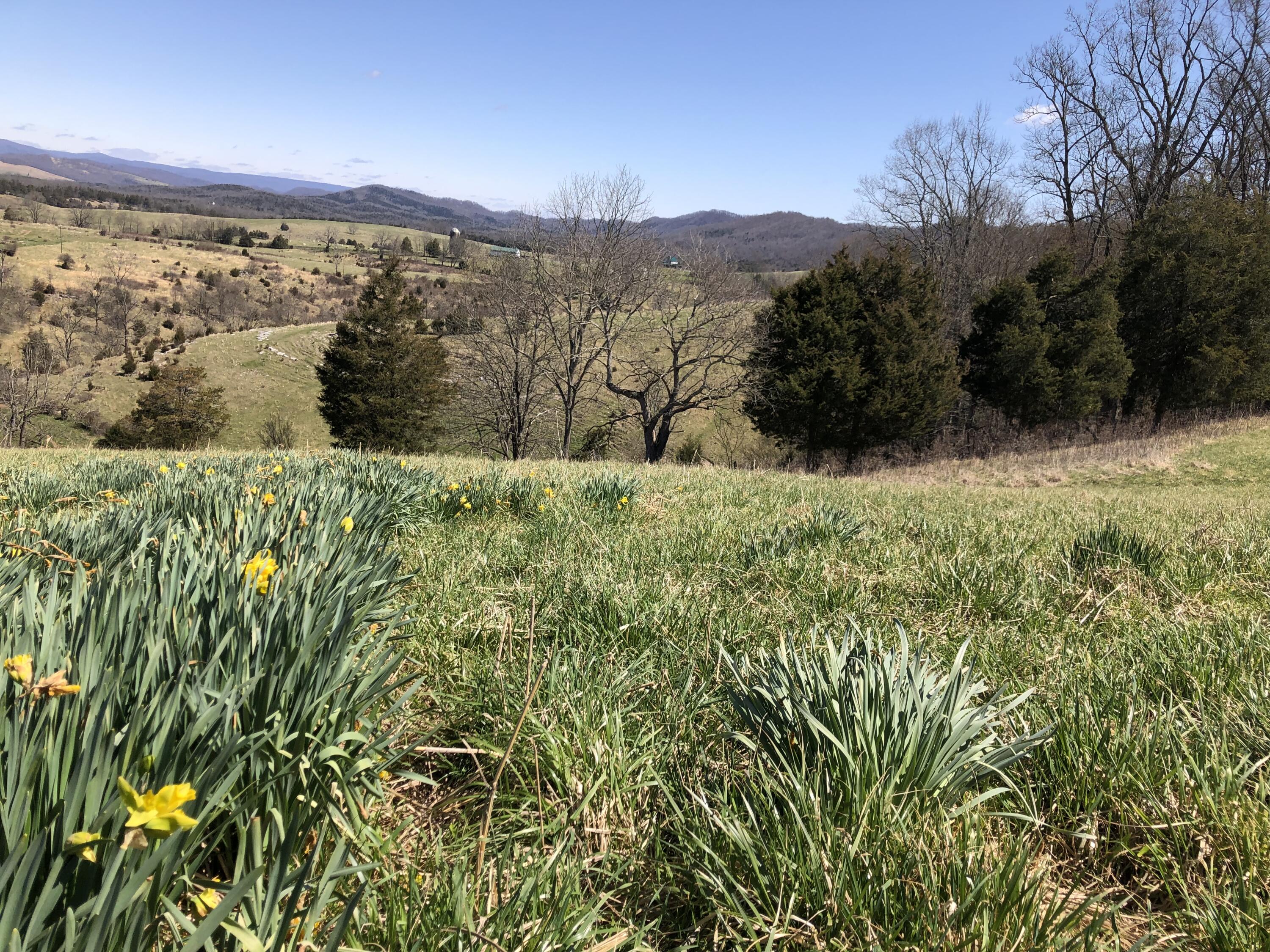 Tbd Farming Acres Road Duffield, VA 24244 - Photo 4 of 38 Photo Mar 27, 12 44 18 PM