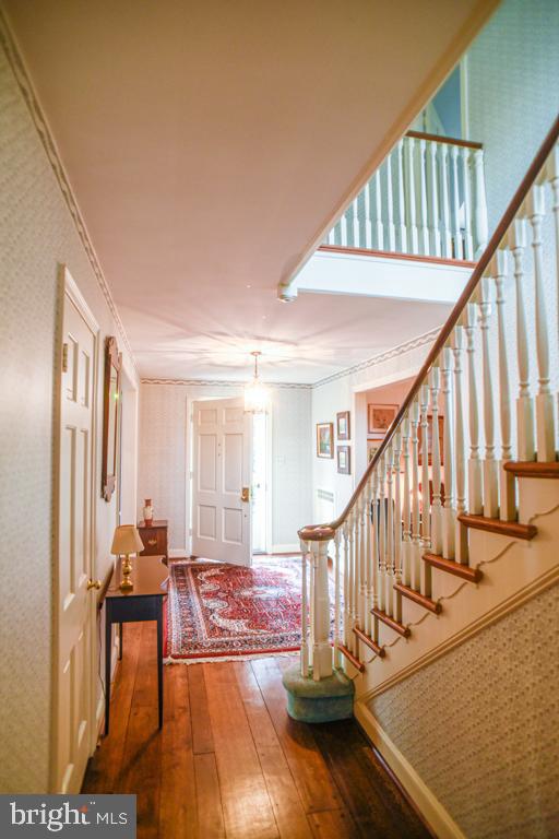 519 Moreno Road Wynnewood, PA 19096 - Photo 16 of 37 Gallery Image 16