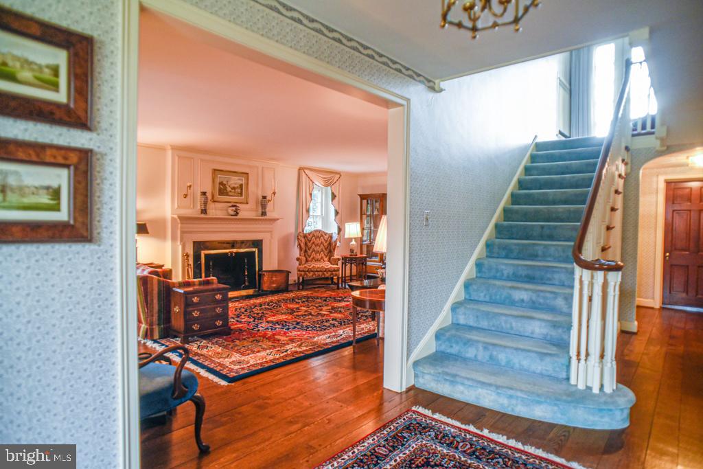 519 Moreno Road Wynnewood, PA 19096 - Photo 5 of 37 Gallery Image 5
