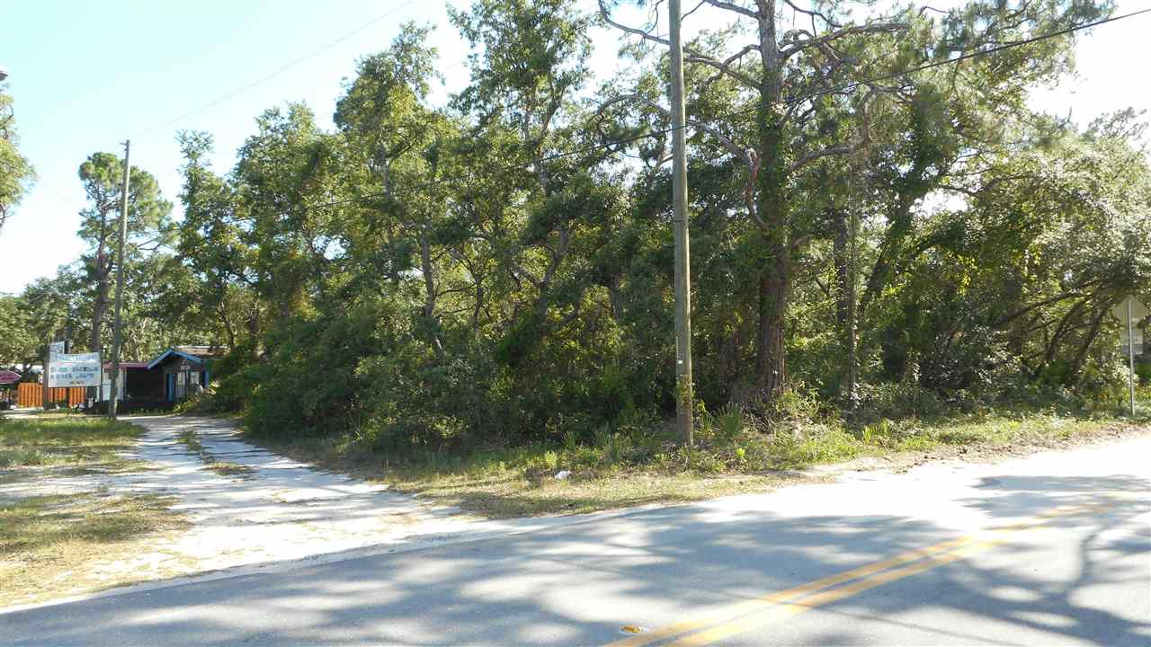 Xx Coastal Highway Ochlockonee Bay, FL 32346 - Photo 4 of 14
