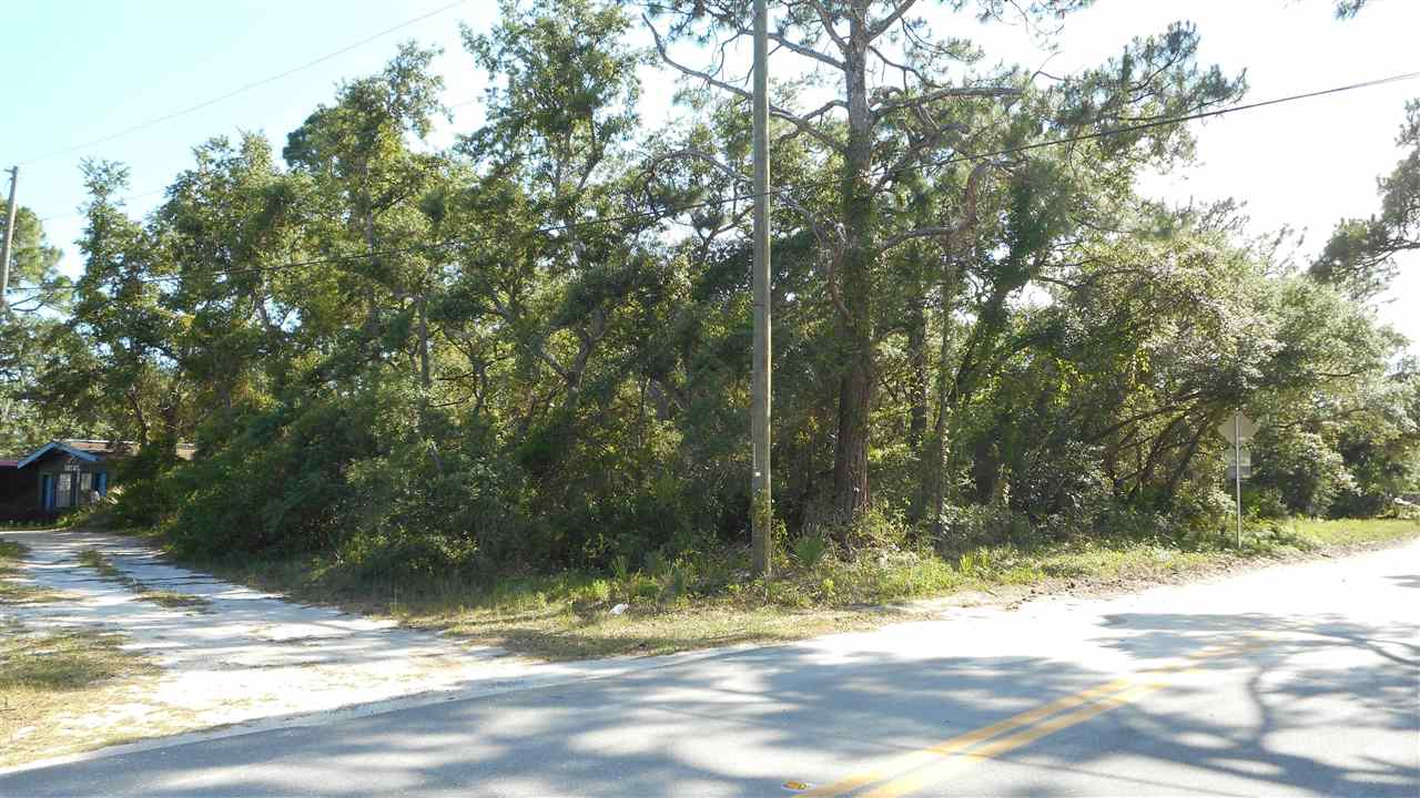 Xx Coastal Highway Ochlockonee Bay, FL 32346 - Photo 6 of 14