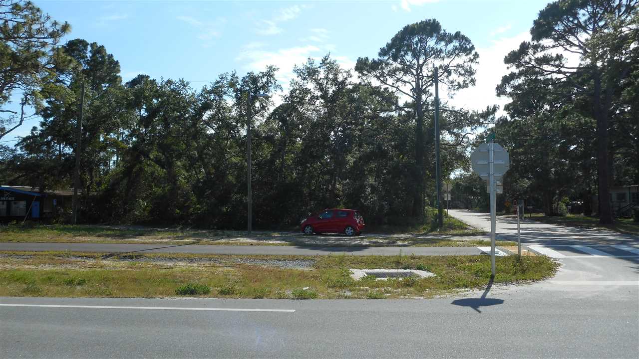 Xx Coastal Highway Ochlockonee Bay, FL 32346 - Photo 10 of 14