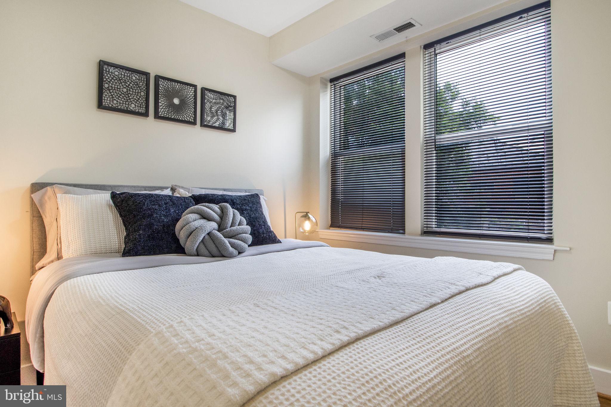 417 18th Street Northeast, Unit 101 Washington, DC 20002 - Photo 49 of 57 a bedroom with a large bed and a window