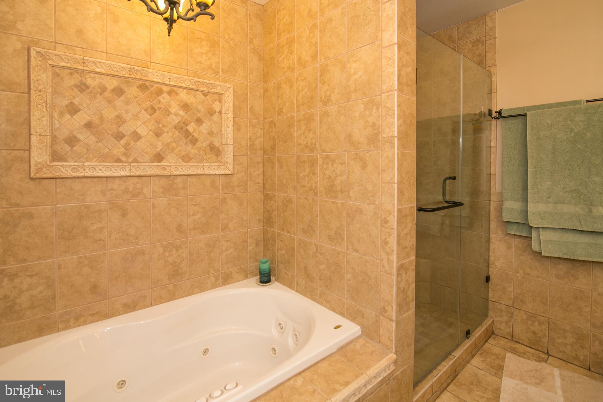 1311 Columbia Road Woodbridge, VA 22191 - Photo 10 of 30 Bath (Master)