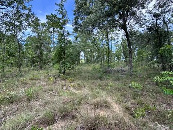 $119,900 | 16 Southeast Se Lane, Morriston, FL 32668