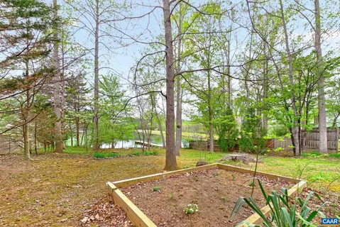 an outdoor space with trees
