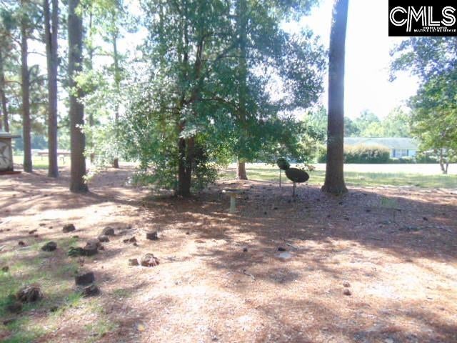 219 Walter Taylor Road Gilbert, SC 29054 - Photo 25 of 27 Gallery Image 25
