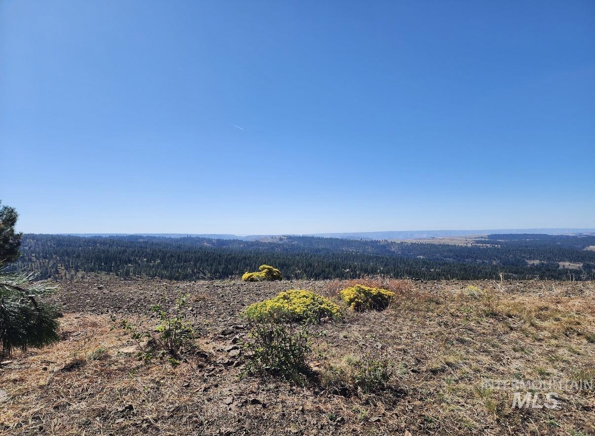 Lot 91 Pilgrim Ridge Road White Bird, ID 83554 - Photo 25 of 35
