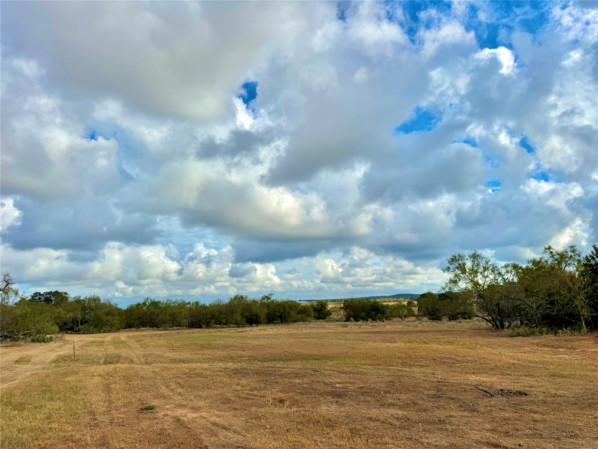 6052 Tenney Creek Road Luling, TX 78648 - Photo 18 of 22 View of local wilderness featuring rural landscape