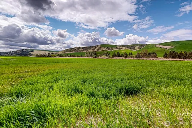 $829,000 | 633 Lower Hogeye Road, Waitsburg, WA 99361