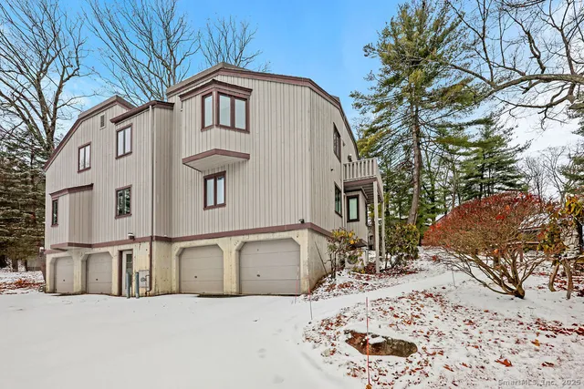 a view of a house with a snow in the background