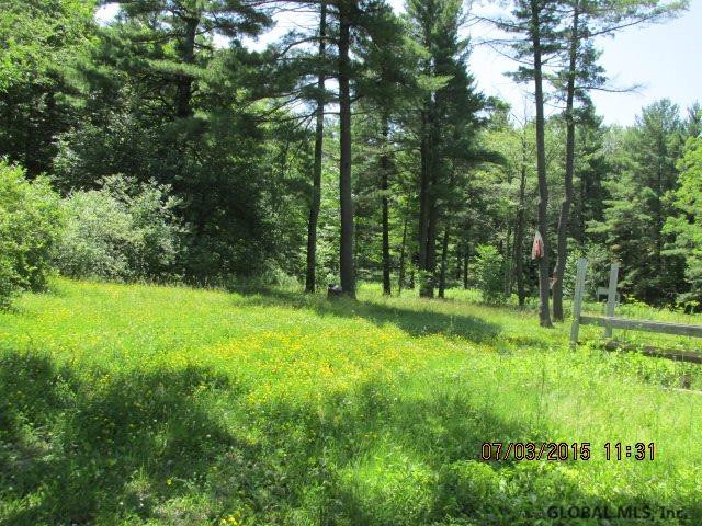 471 Barton Hill Road Delanson, NY 12053 - Photo 3 of 15 Photo 3