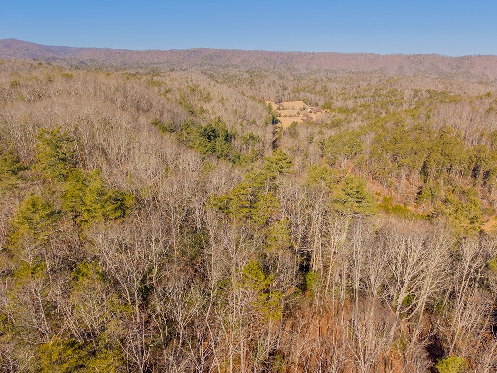 Tbd Kimberling Road, Unit 10A 10B2 Bland, VA 24315 - Photo 54 of 72 Gallery Image 54