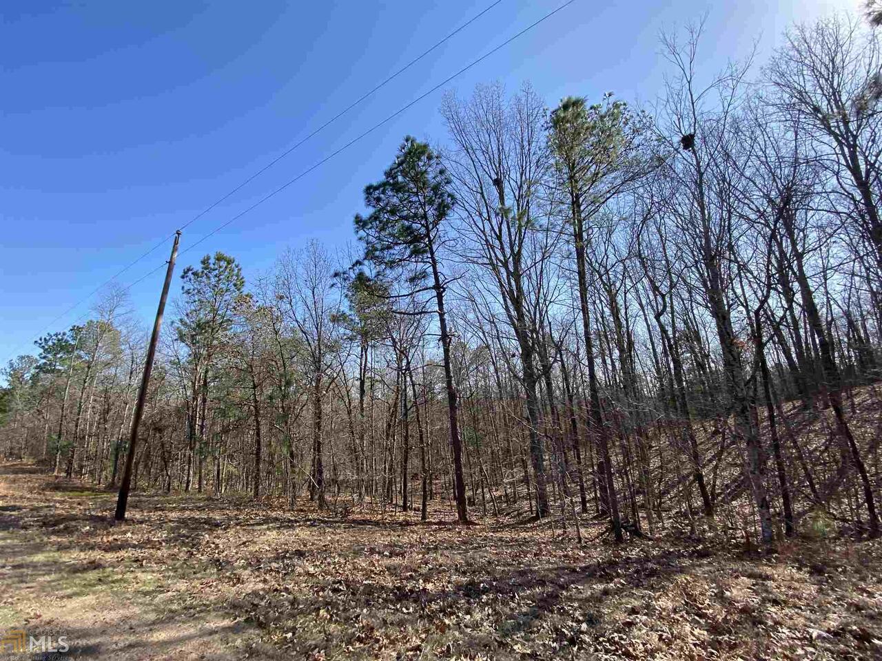 0 Pleasant Valley Road Molena, GA 30258 - Photo 1 of 1