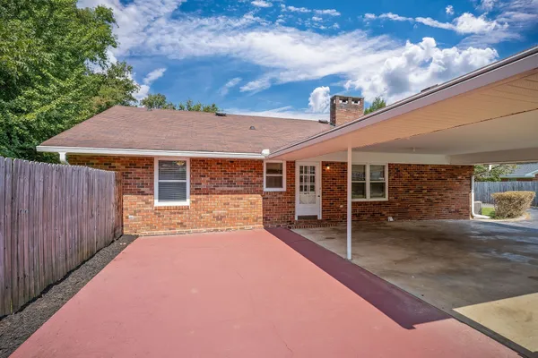 a view of backyard and tree